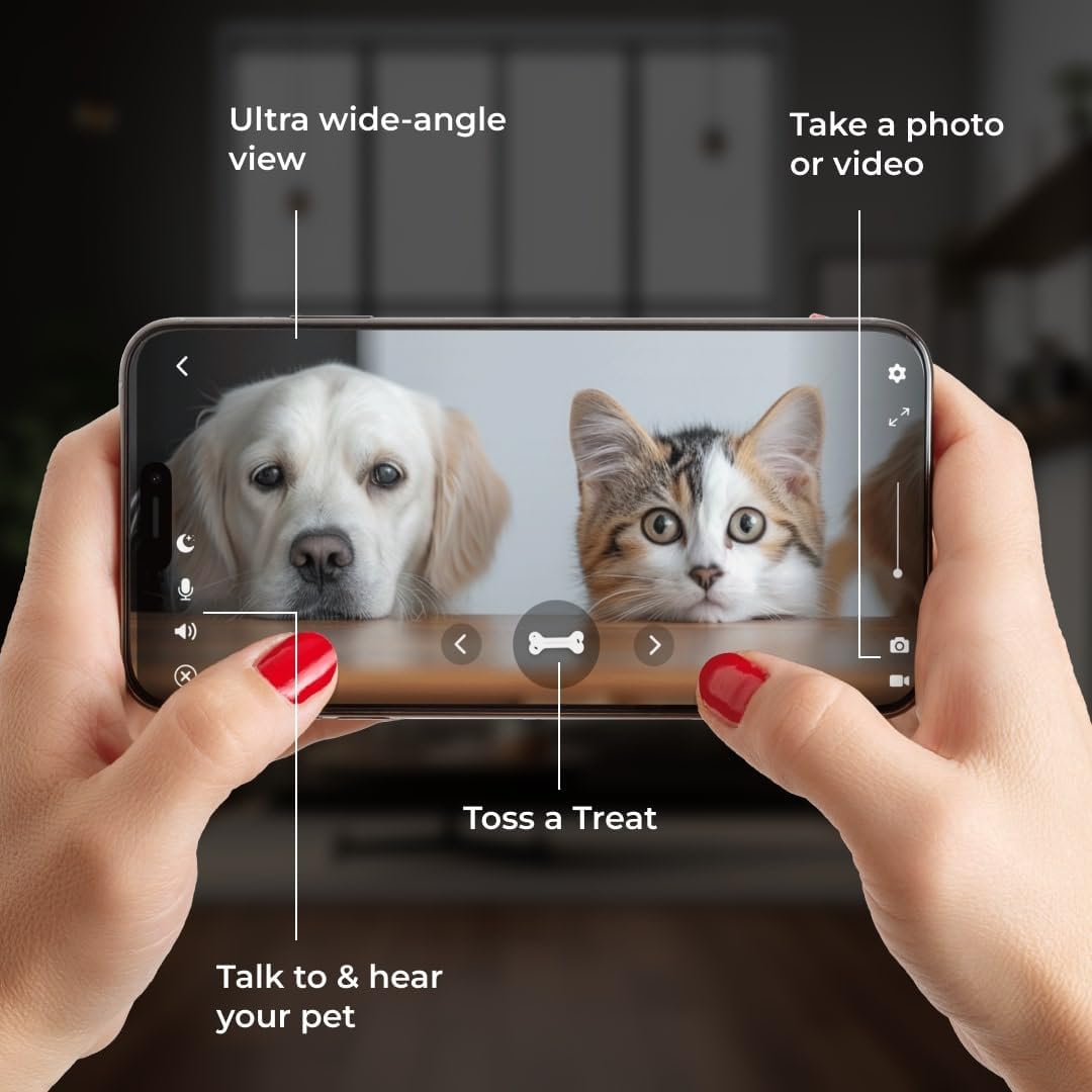 Meet Your New Best Friend: The 2K Pet Camera That Tosses Treats, Talks Back, and Keeps an Eye on Your Furry Mischief!