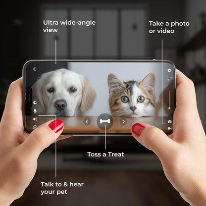 Meet Your New Best Friend: The 2K Pet Camera That Tosses Treats, Talks Back, and Keeps an Eye on Your Furry Mischief!