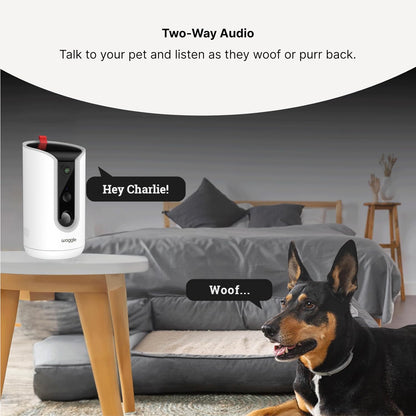 Meet Your New Best Friend: The 2K Pet Camera That Tosses Treats, Talks Back, and Keeps an Eye on Your Furry Mischief!