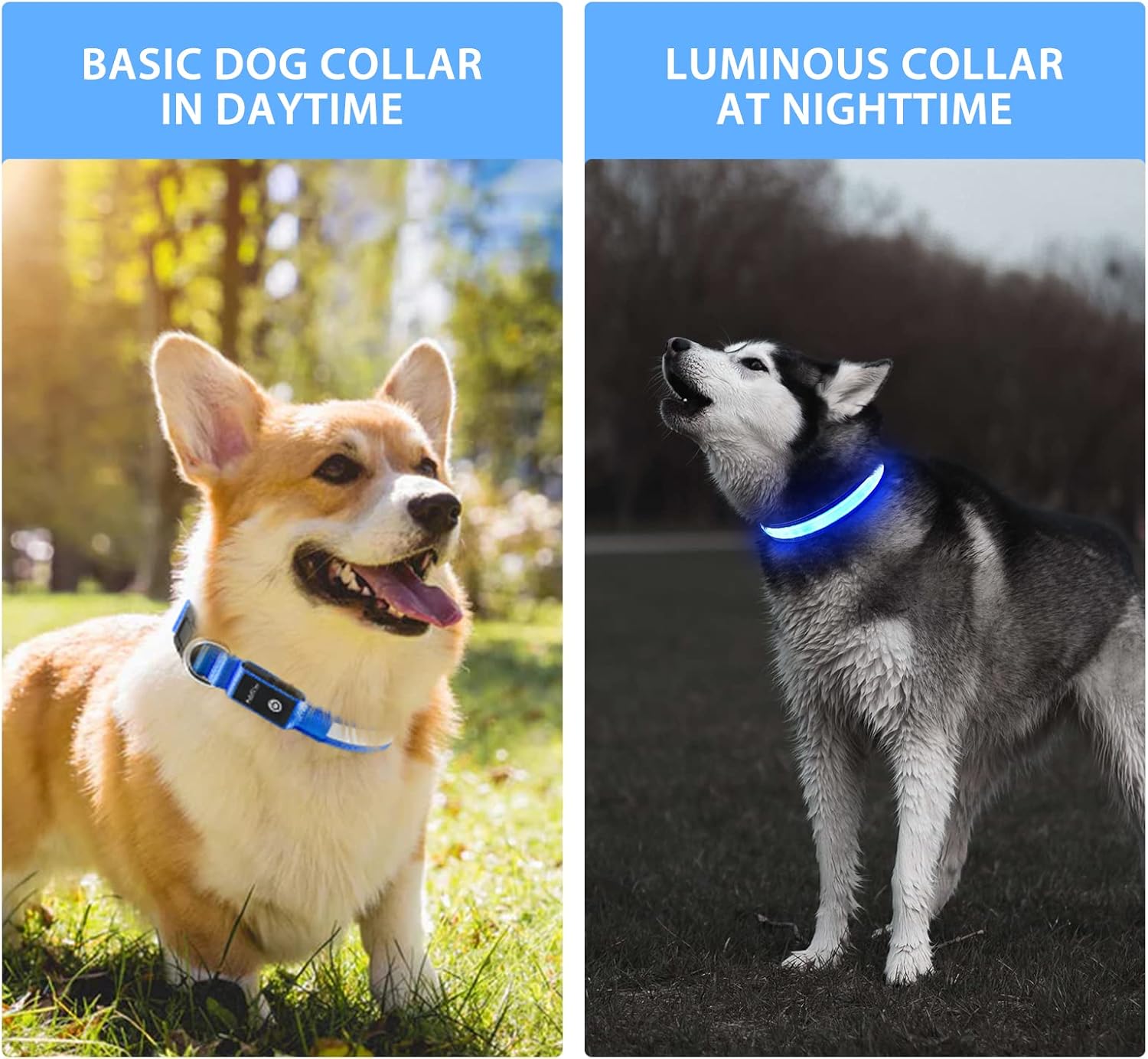 Light up Dog Collar for Night Walking - LED Dog Collar Light Rechargeable Color Changing, Glow in the Dark Dog Collars Waterproof Glowing Dog Collars for Large Small Medium Dogs