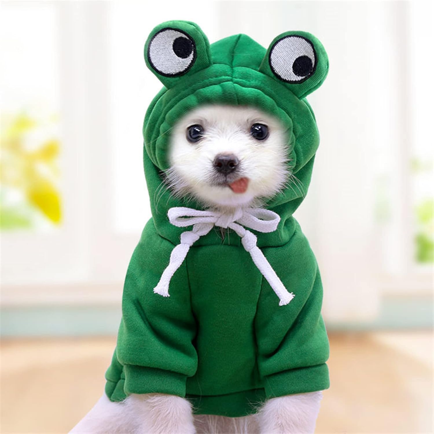 Warm Dog Winter Clothes Cute Fruit Dog Coat Hoodies Fleece Pet Dogs Costume Jacket for French Bulldog Chihuahua Ropa Para Perro(Green,M)