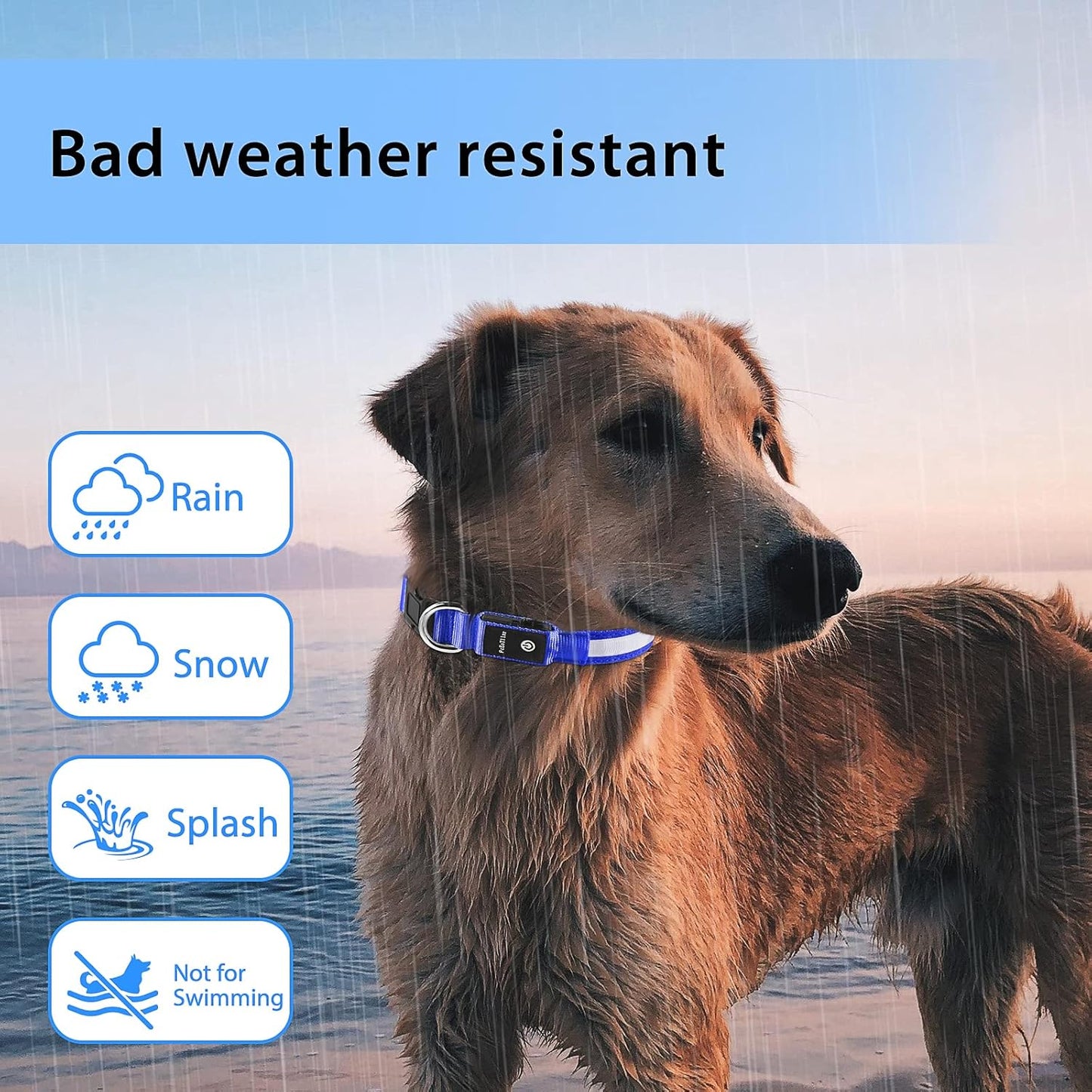 Light up Dog Collar for Night Walking - LED Dog Collar Light Rechargeable Color Changing, Glow in the Dark Dog Collars Waterproof Glowing Dog Collars for Large Small Medium Dogs